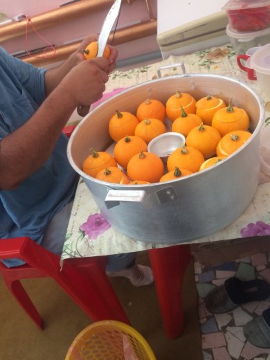 Карлик тыква - Шаг 1