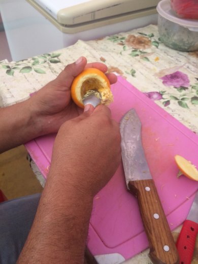 Карлик тыква - Шаг 2