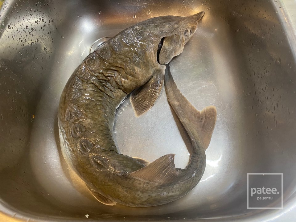 Стерлядь запечённая в посудомойке - Шаг 2