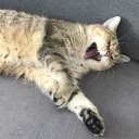 Юлия Пекарь