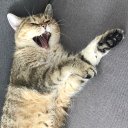 Юлия Пекарь