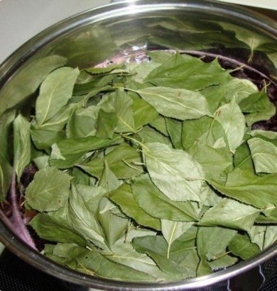 Ароматная наливка «100 листьев» - Шаг 1