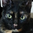 Александра Бродер