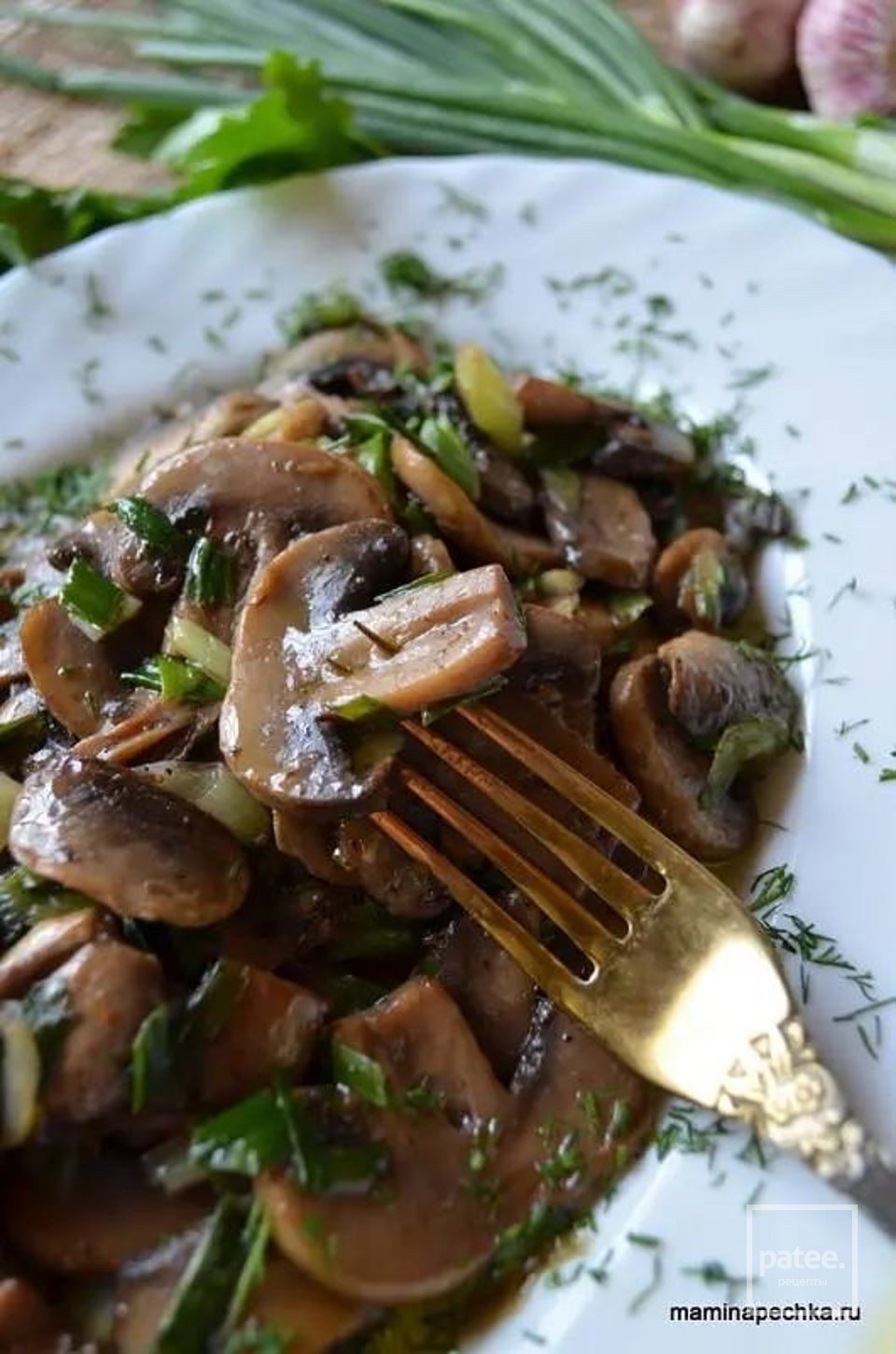 фрикасе с макаронами. шампиньоны по французски. шампиньон де пари 4 сезона. шампиньоны по французски. 4 сезона смесь шампиньон де пари.