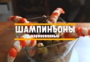 Маринованные шампиньоны