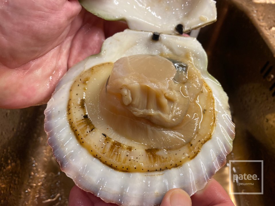 Морской гребешок с трюфелем - Шаг 2