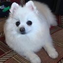 Юлия Скворцова