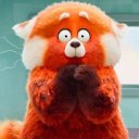 Данил Вальшин