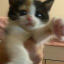 Ирина Вагинова