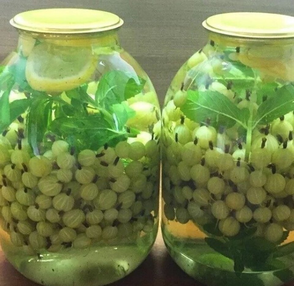 Компот из крыжовника мохито. Мохито из крыжовника. Мохито из крыжовника на зиму. Крыжовник мята лимон мохито. Компот из зеленого крыжовника мохито.