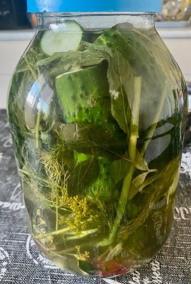 Малосольные огурчики - Шаг 6