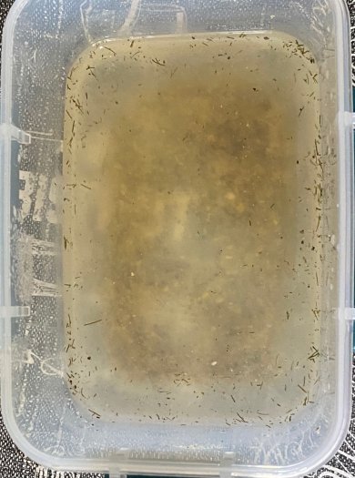 Кабачки маринованные на зиму - Шаг 2