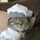 Саша Павлуцких