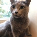 Лёня Дементьев