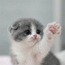 Дарья Маяковская