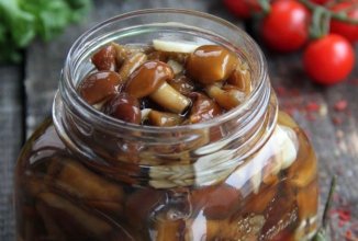 Маринованные опята 🍄