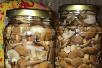 Маринованные опята