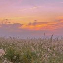 Алина Алиева