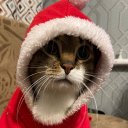 Андрей Леонидович