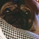 Анастасия Ни Анастасия Ни