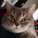 Медер Джумашев