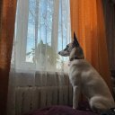 Наталья Ваничкина Наталья Ваничкина