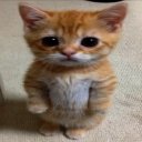 Таня Куранова