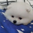 Екатерина Шишкина