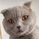 Павел Норкин