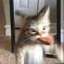 Маргарита Ромодина