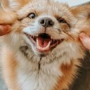 Лилия Пастухова