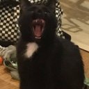 Денис Лобачёв