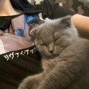 Валерия Кирсанова