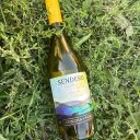 Вика Дягилева