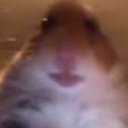 Андрей Калинин