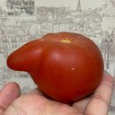 Таисия Миронова