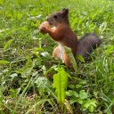 Диана Преображенская