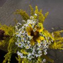 Настюшкинс lov