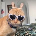 Настя Голикова