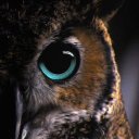 Ирина Бахтин