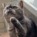 Светлана Светлана