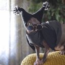 Крис Бакирова