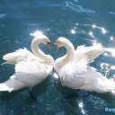 Оля Пшеничникова