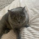 Иван Иванов