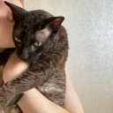 ульяночка кис