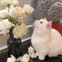 Хадижа Сархатова