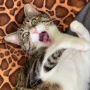 Надежда Кузнецова