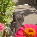 Екатерина Рубинова