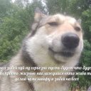 Хлеб Александрович