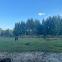 Ульяна Татаринович